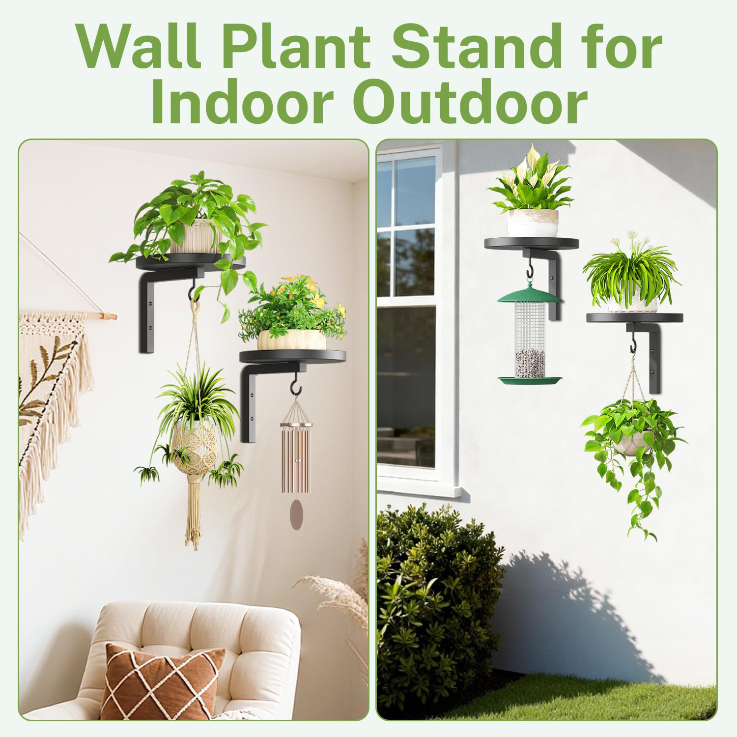 iDavosic.ly Plant Wall Hanger with plants above pet's reach