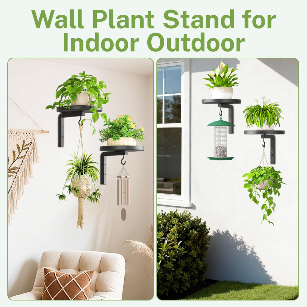 iDavosic.ly Plant Wall Hanger with plants above pet's reach