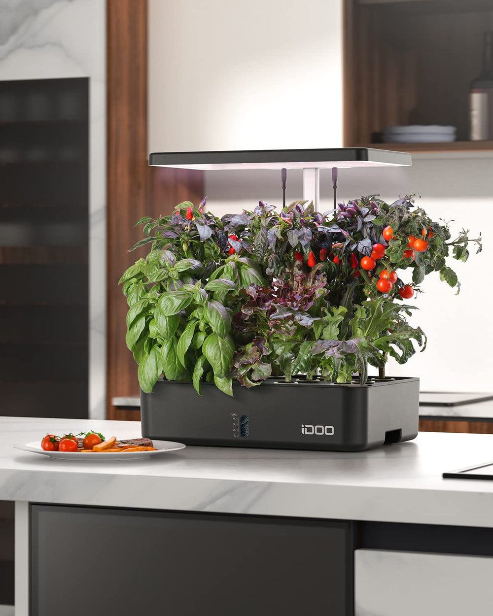 iDOO hydroponics indoor gardening setup on a kitchen counter