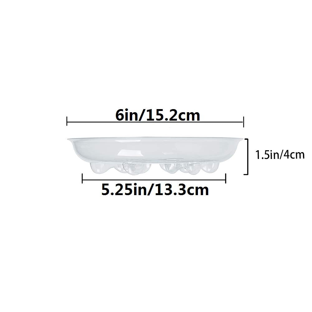 Idyllize 6 inch plant saucer showing thickness and durability