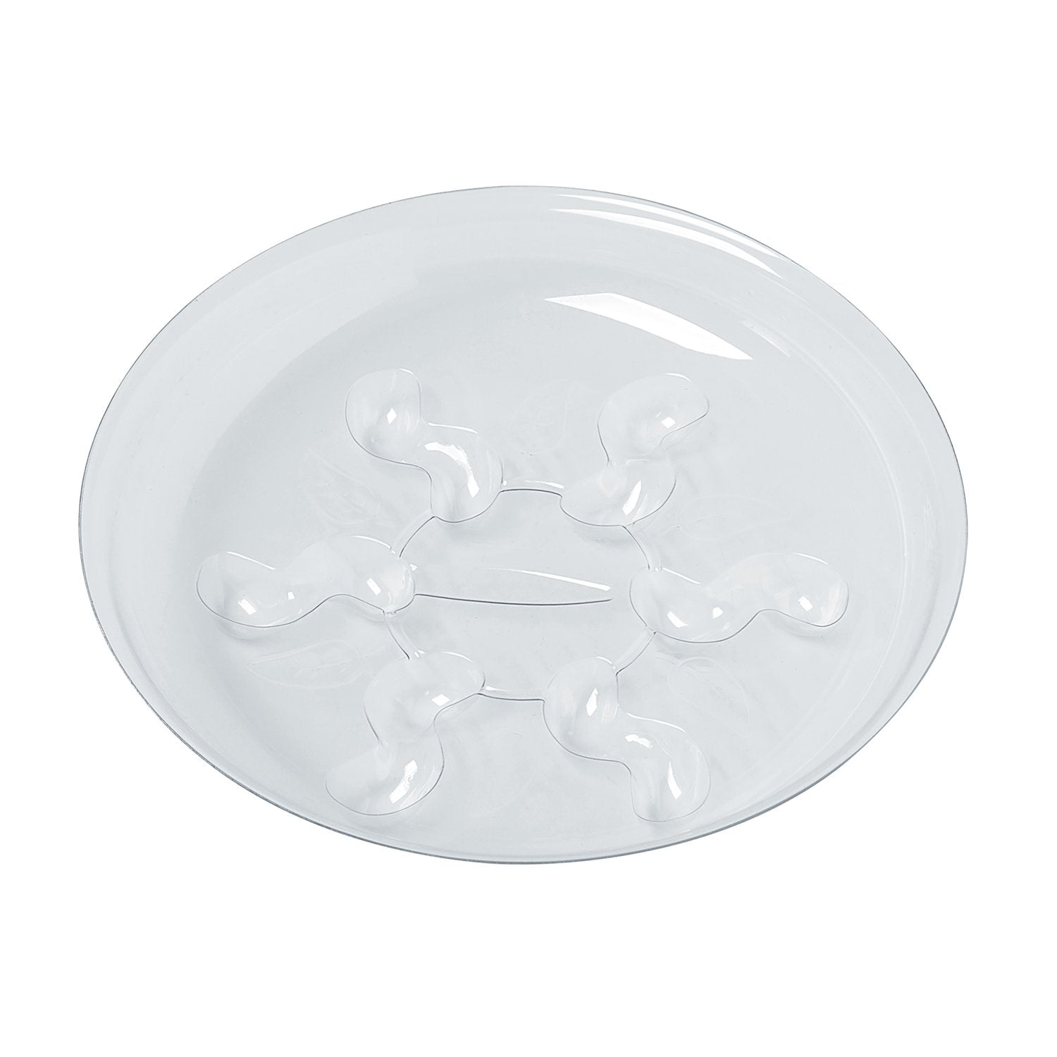 Idyllize 8 inch heavy duty clear plastic plant saucer with plant in it
