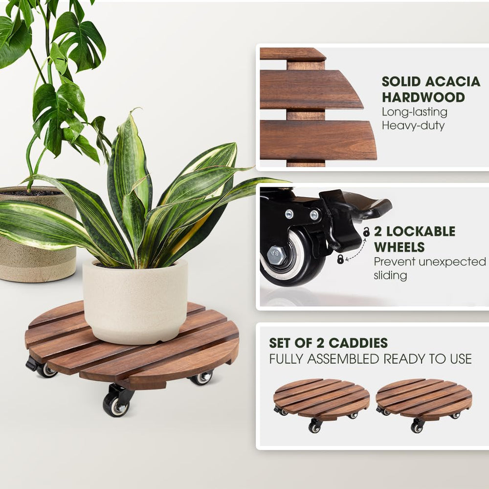 IDZO 14 Inch Plant Caddy with wheels and plants