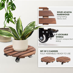 IDZO 14 Inch Plant Caddy with wheels and plants
