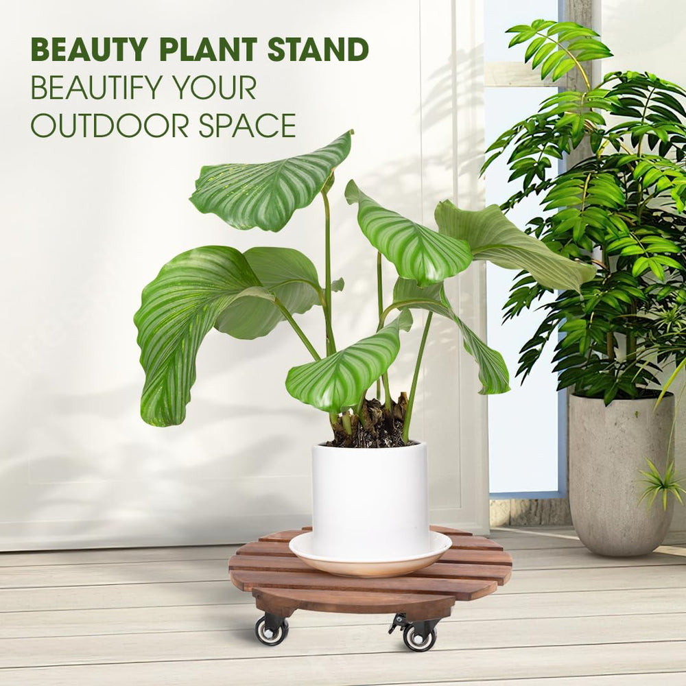 IDZO Acacia Wood Plant Caddy side view