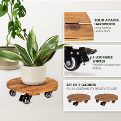 IDZO plant caddy featuring 360-degree lockable wheels