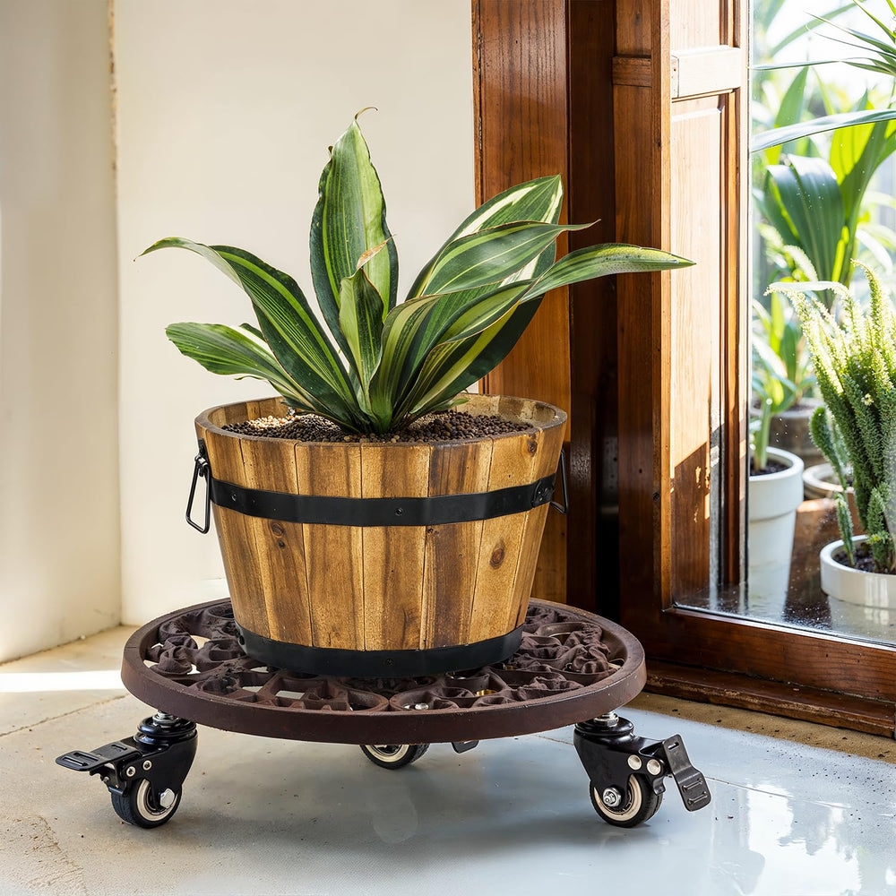 IDZO plant caddy packaging and specifications