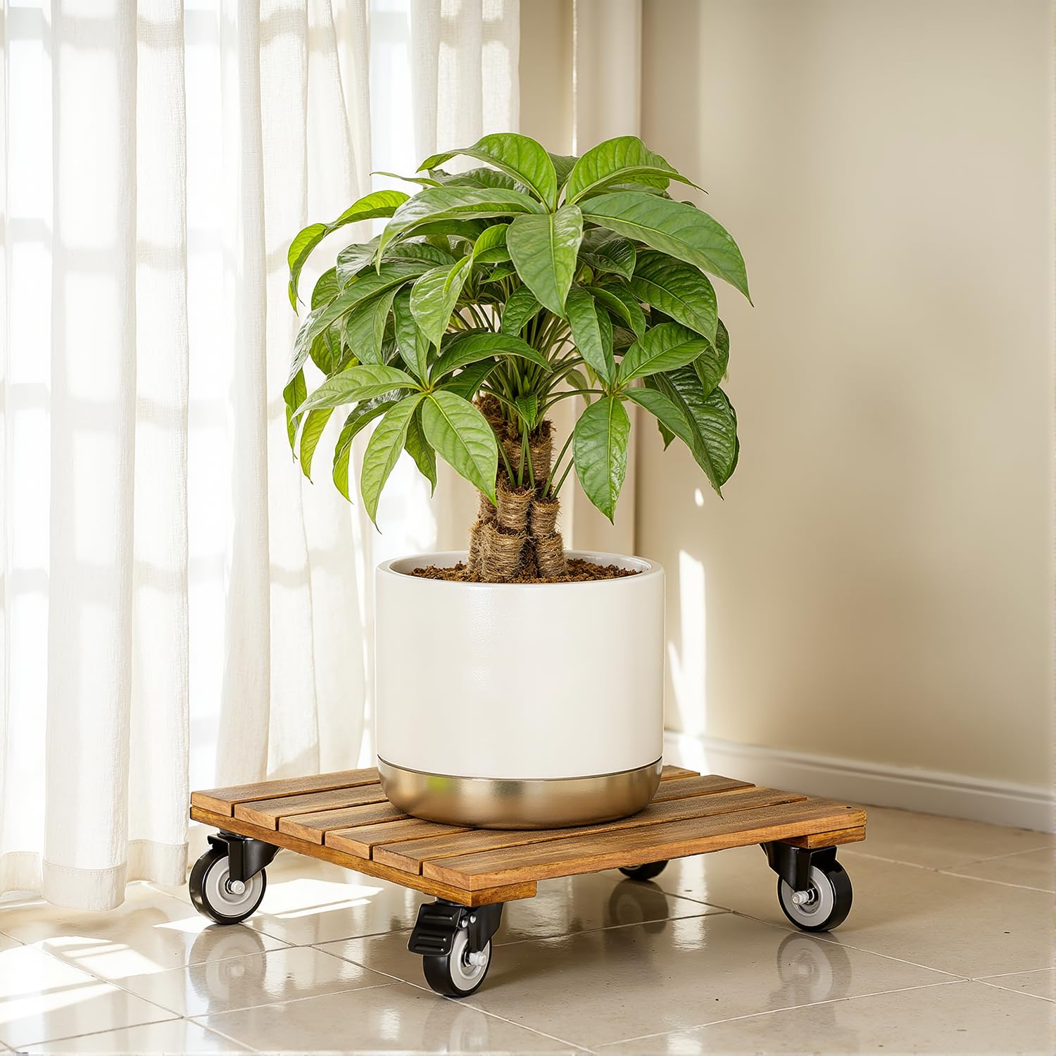 IDZO plant caddy set of two in garden setting