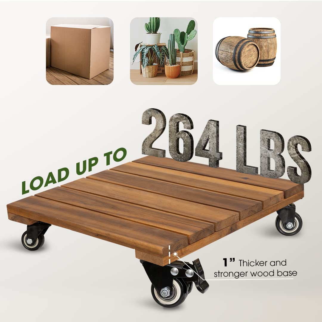 IDZO Plant caddy with heavy planter on it