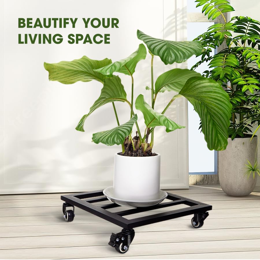 IDZO Plant Caddy with heavy pot on top