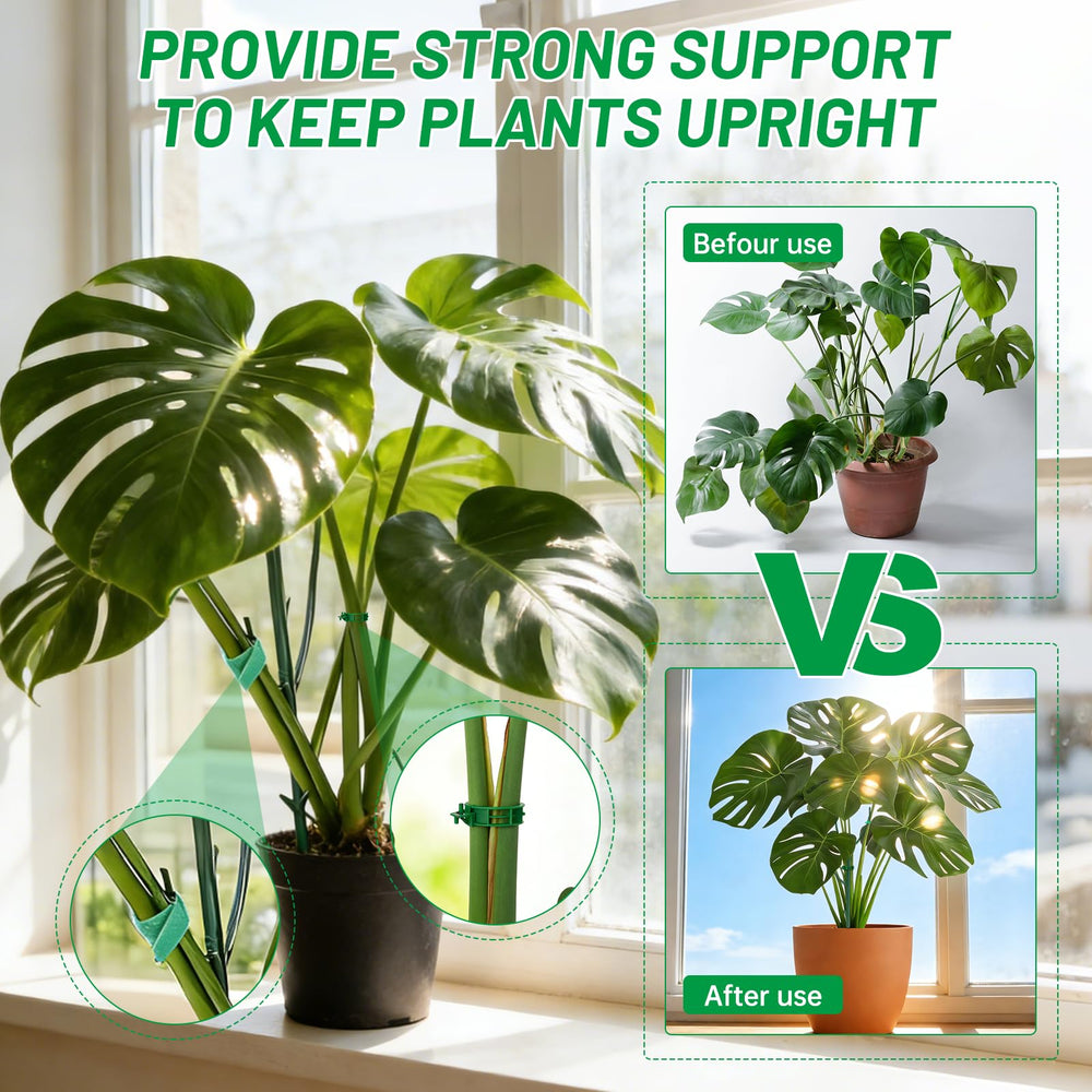 IKKAB plant stakes set alongside a Monstera plant