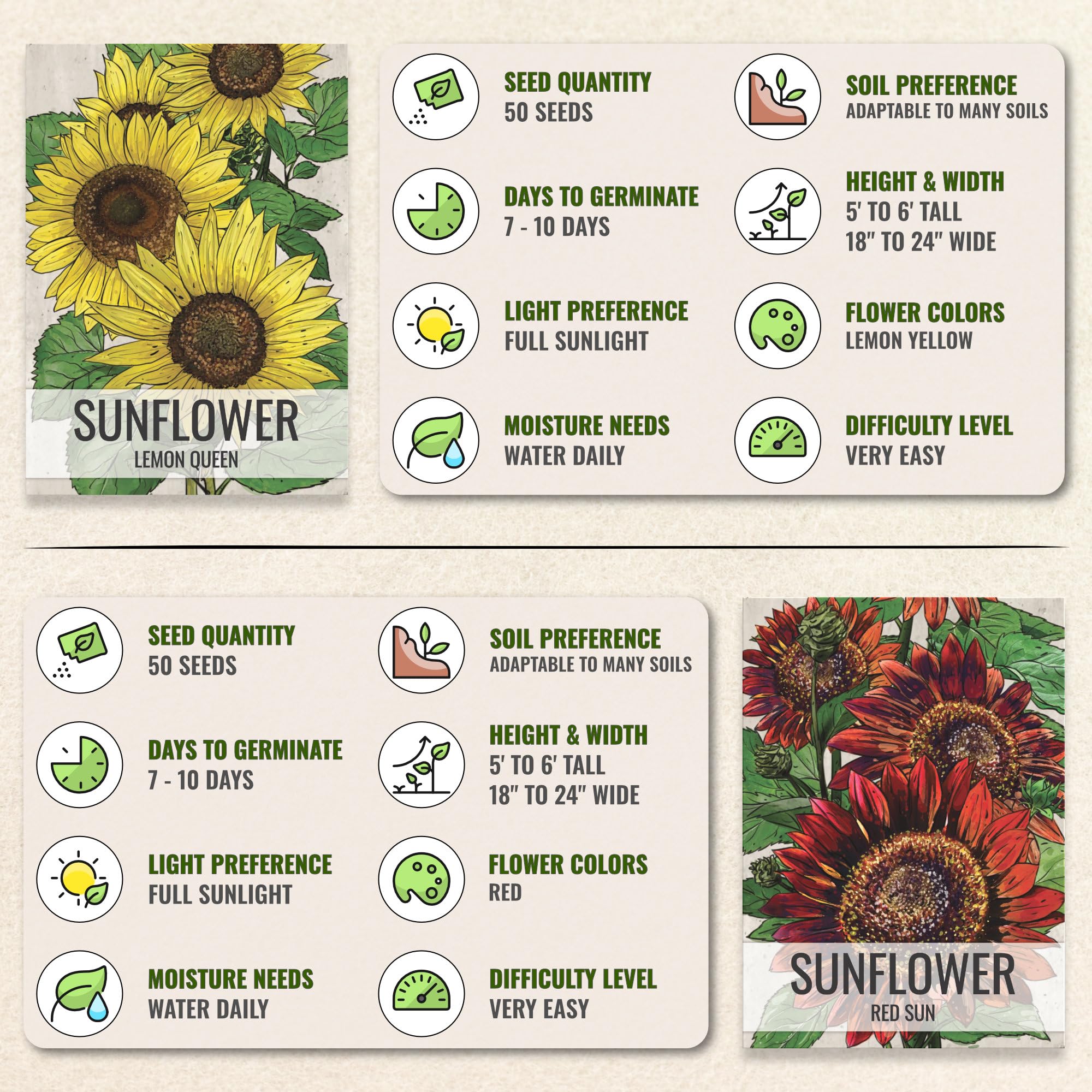 Illustration of Wild Sunflower seed packet