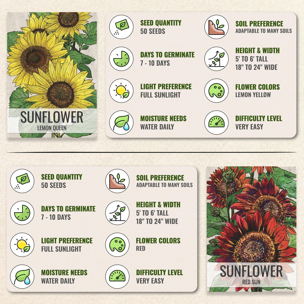 Illustration of Wild Sunflower seed packet