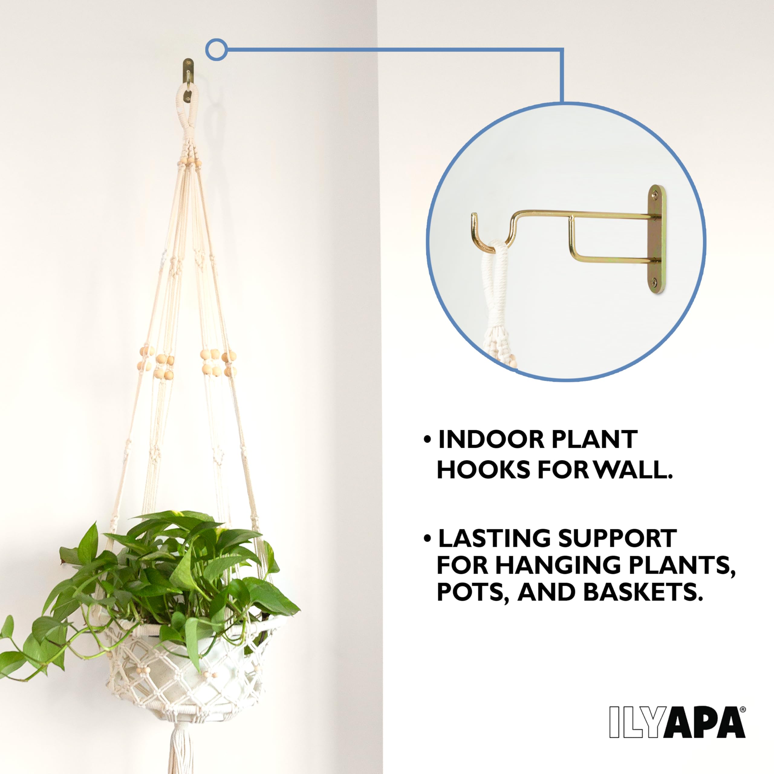 Ilyapa plant hanger mounted on a wall with decorative items