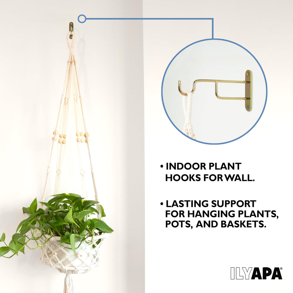 Ilyapa plant hanger mounted on a wall with decorative items