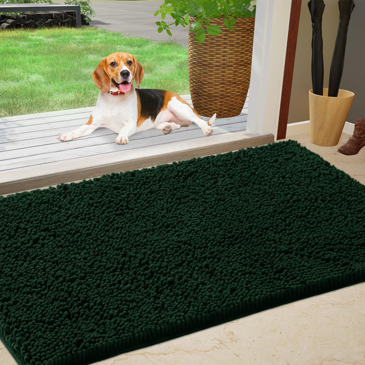 IM HOME Chenille Absorbent Indoor Door Mat front view, dark green
