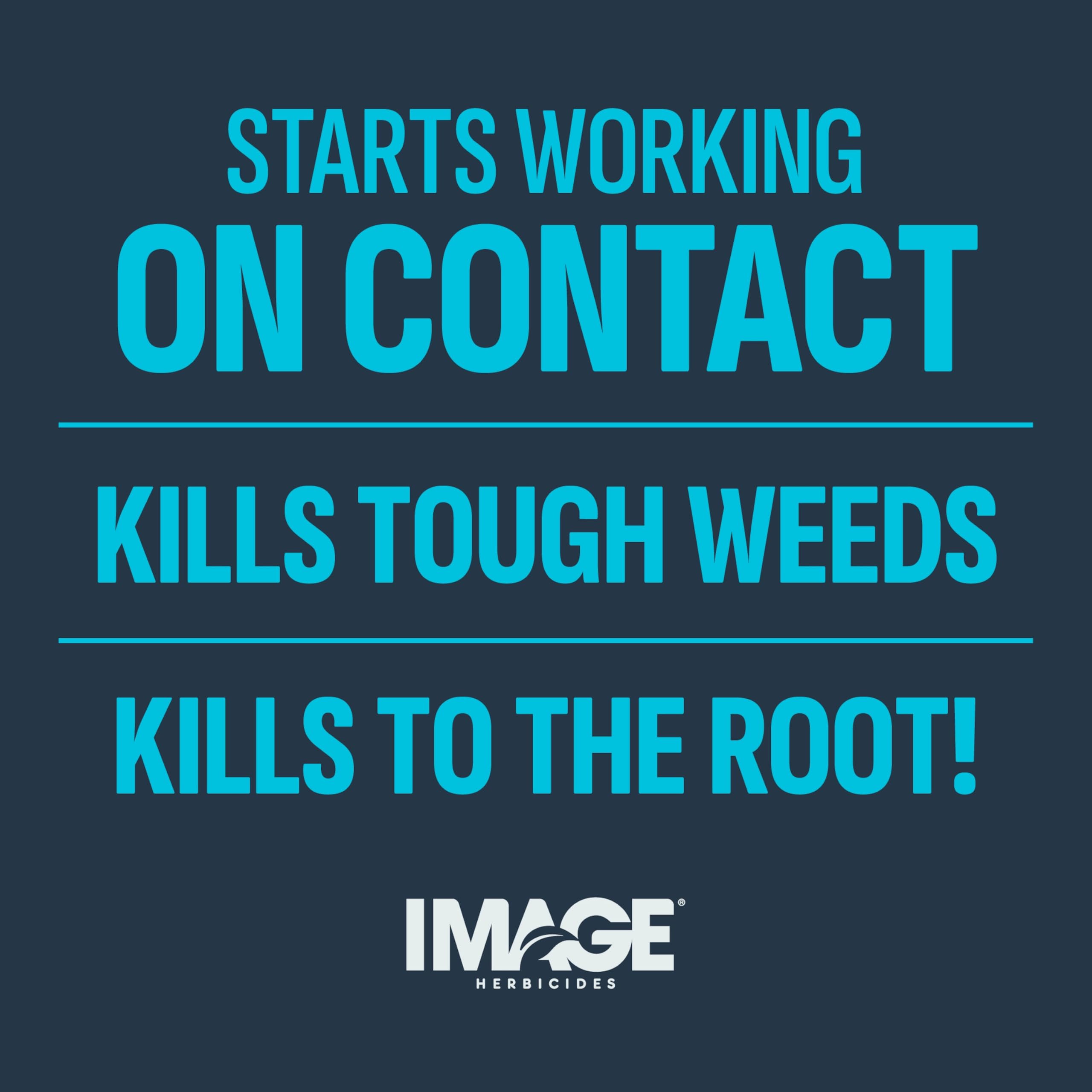 Image Crabgrass Killer in garden setting, ready to use