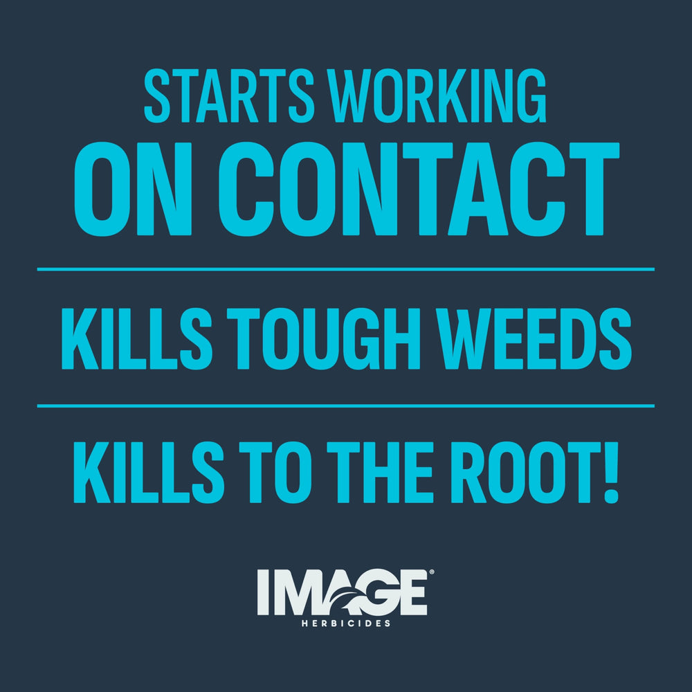 Image Crabgrass Killer in garden setting, ready to use