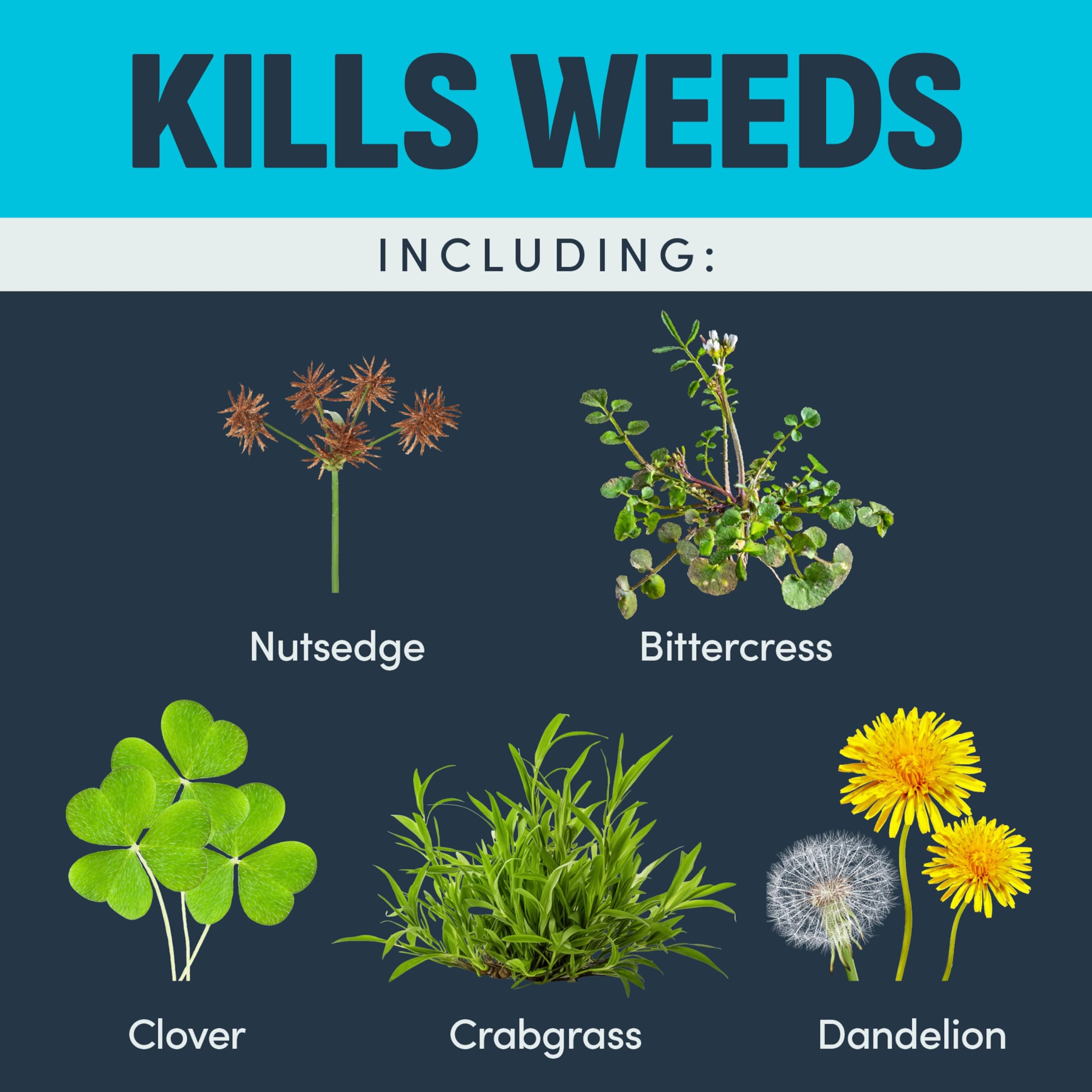 Image Herbicides Crabgrass Killer bottle on grass