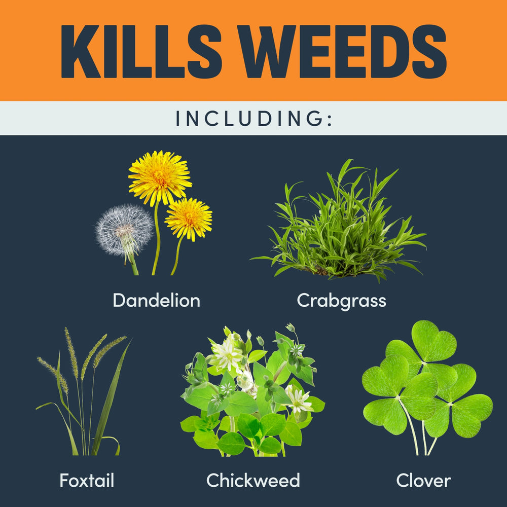 Image Lawn Weed & Crabgrass Killer on a lawn with weeds