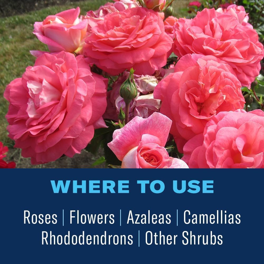 Image showing BioAdvanced All-In-One Rose & Flower Care Granules usage in garden