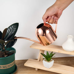 IMEEA 30oz watering can with plants in background