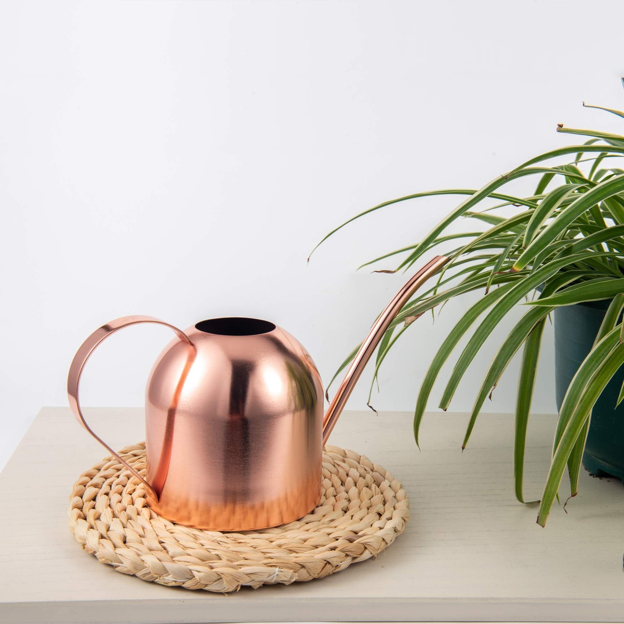 IMEEA indoor watering can with dimensions