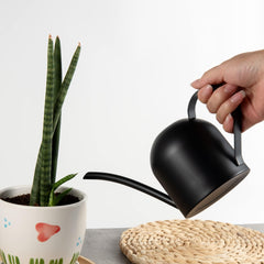 IMEEA Small Watering Can filled with water beside houseplants