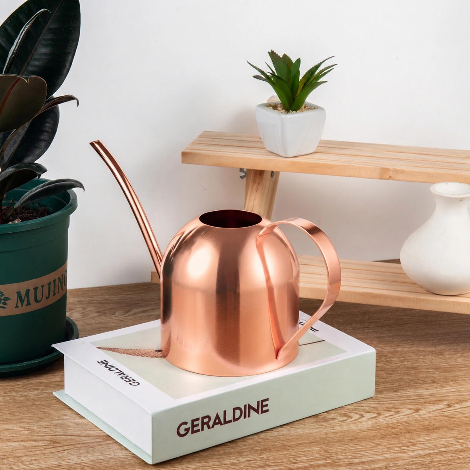 IMEEA stainless steel watering can on a desk