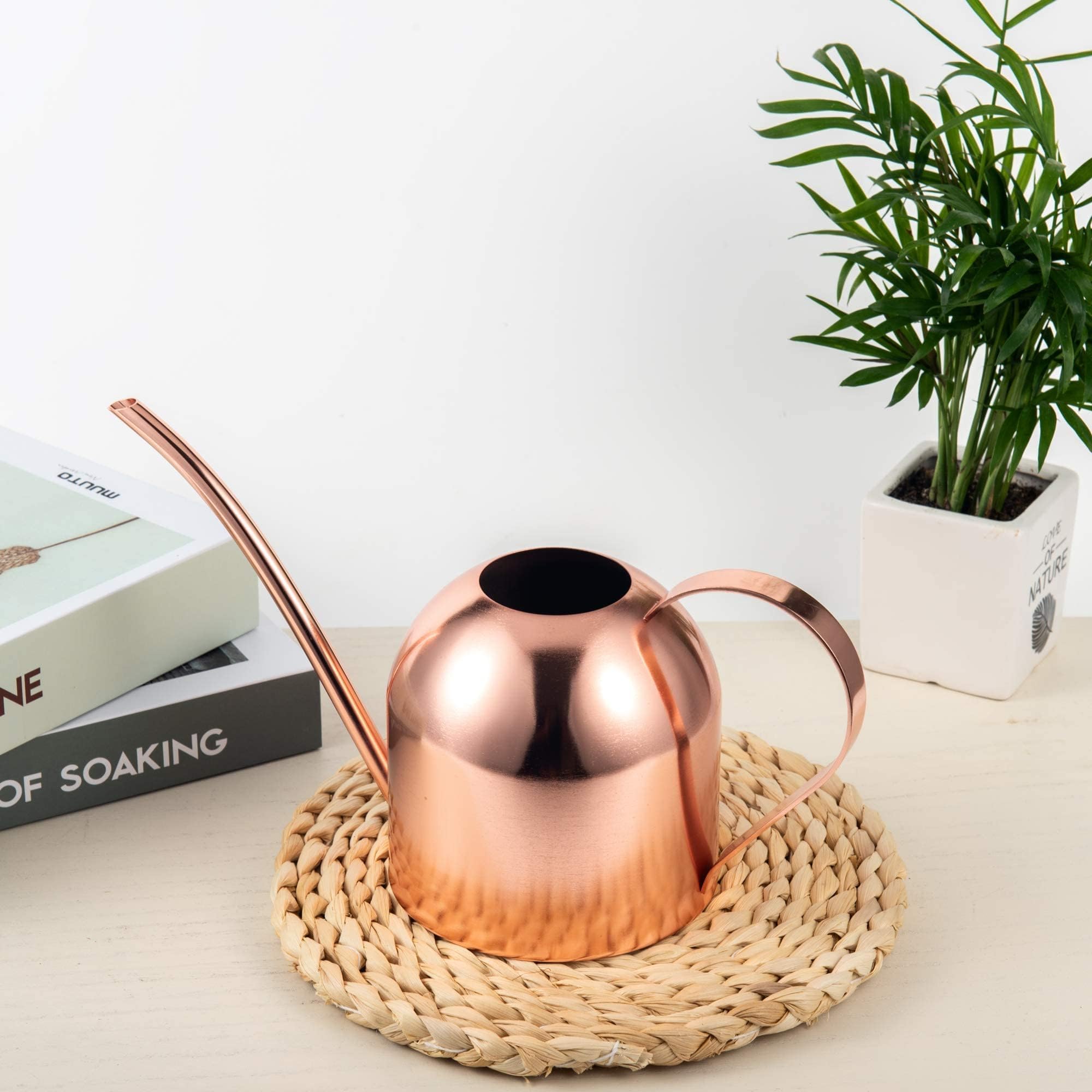 IMEEA watering can with succulent plants