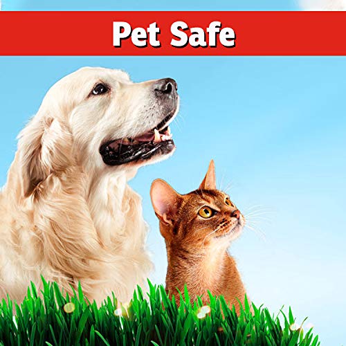 IMUSTGARDEN Deer Repellent in garden setting