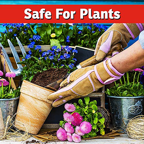 IMUSTGARDEN Rabbit Repellent Spray 32oz spray nozzle