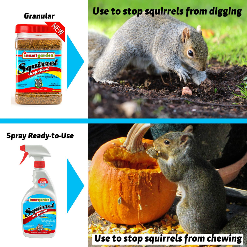 IMUSTGARDEN Squirrel Repellent on outdoor furniture