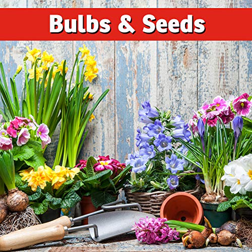 IMUSTGARDEN Squirrel Repellent Spray usage on outdoor furniture