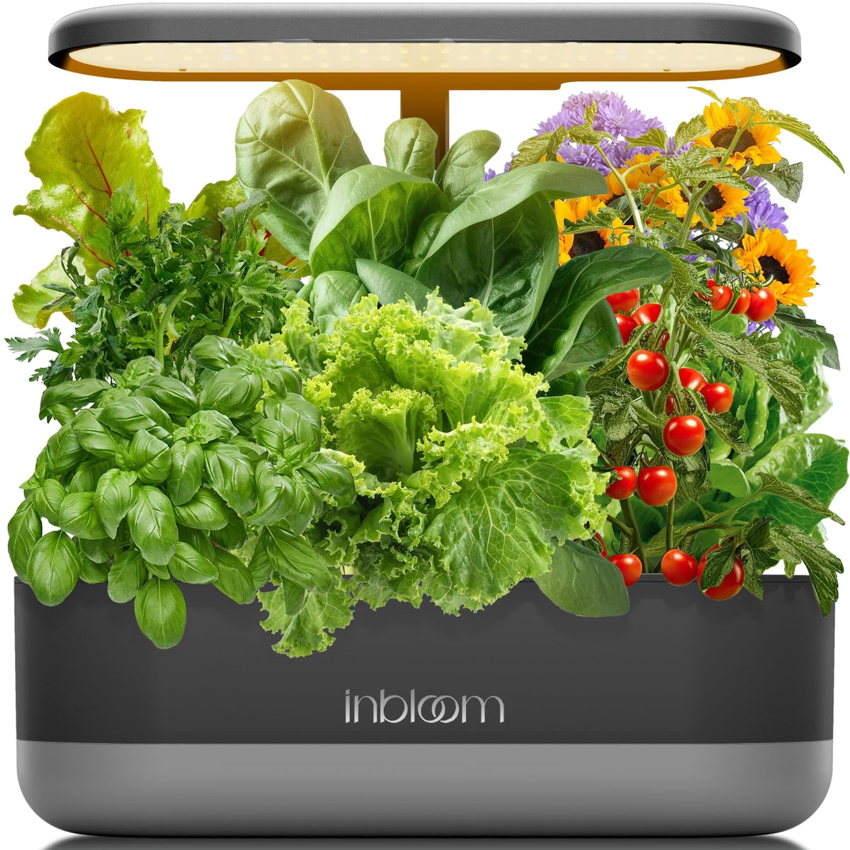 inbloom Hydroponics Growing System Kit front view in black