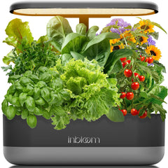 inbloom Hydroponics Growing System Kit front view in black