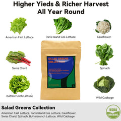 inbloom seed pods with organic salad seeds and growing supplies