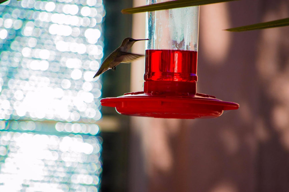 Included S-hook for hanging the Rocky Mountain Goods Hummingbird Feeder