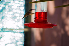 Included S-hook for hanging the Rocky Mountain Goods Hummingbird Feeder