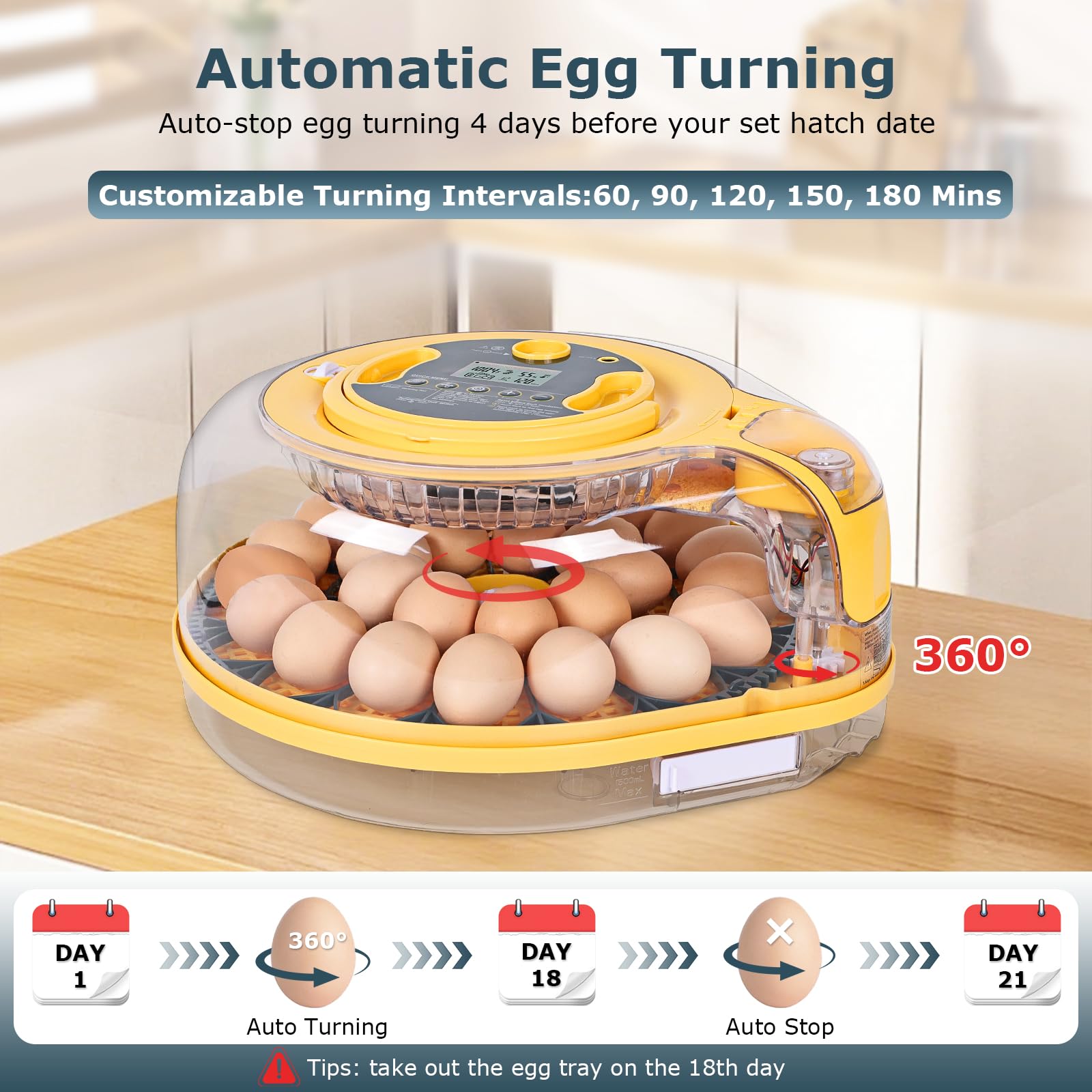 incubator 360 view showcasing internal egg trays