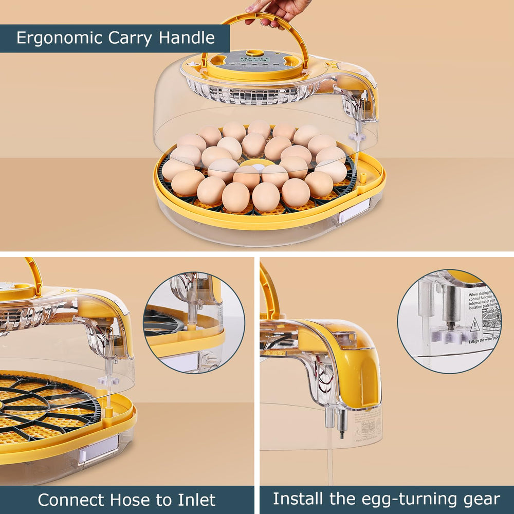 incubator with eggs inside for hatching