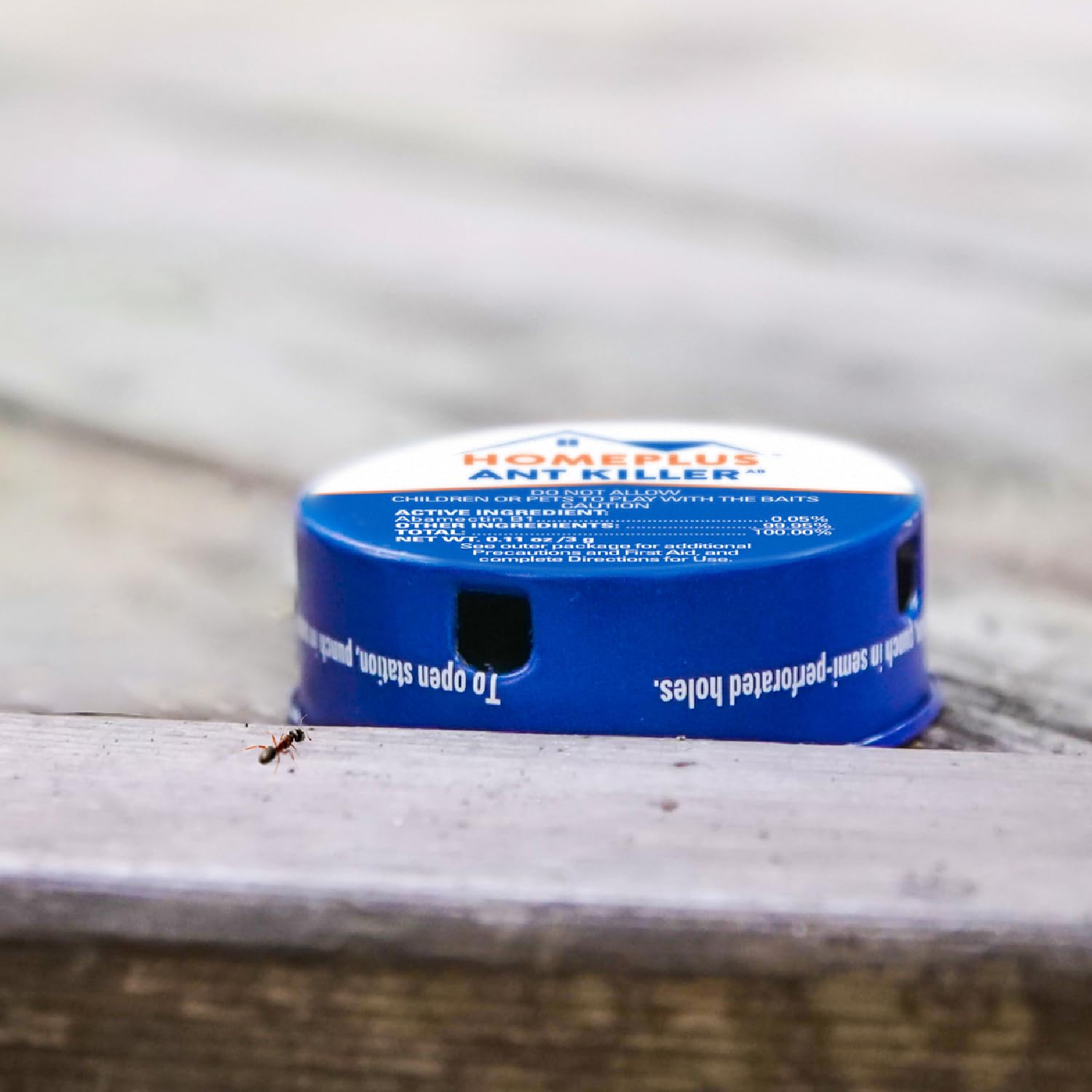 Individual HOME PLUS Ant Killer Bait Station front view