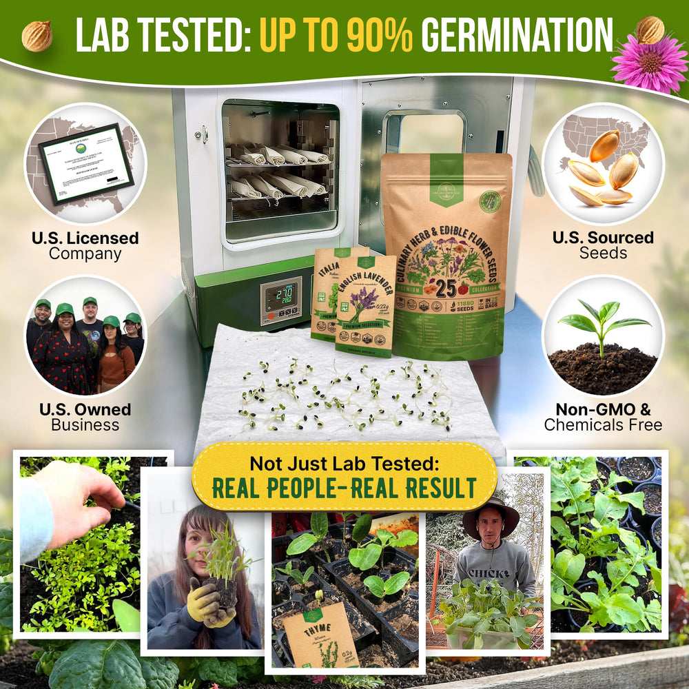 Individual seed packets from Organo Republic herb kit