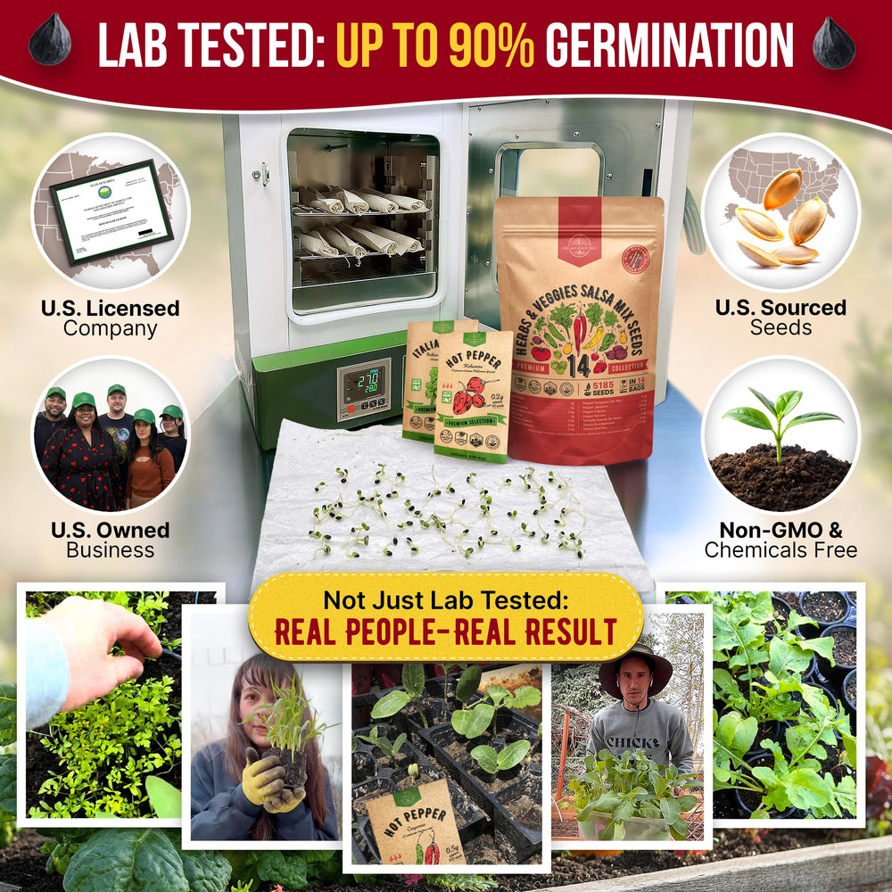 Individual seed packets included in Organo Republic Salsa Mix Seeds