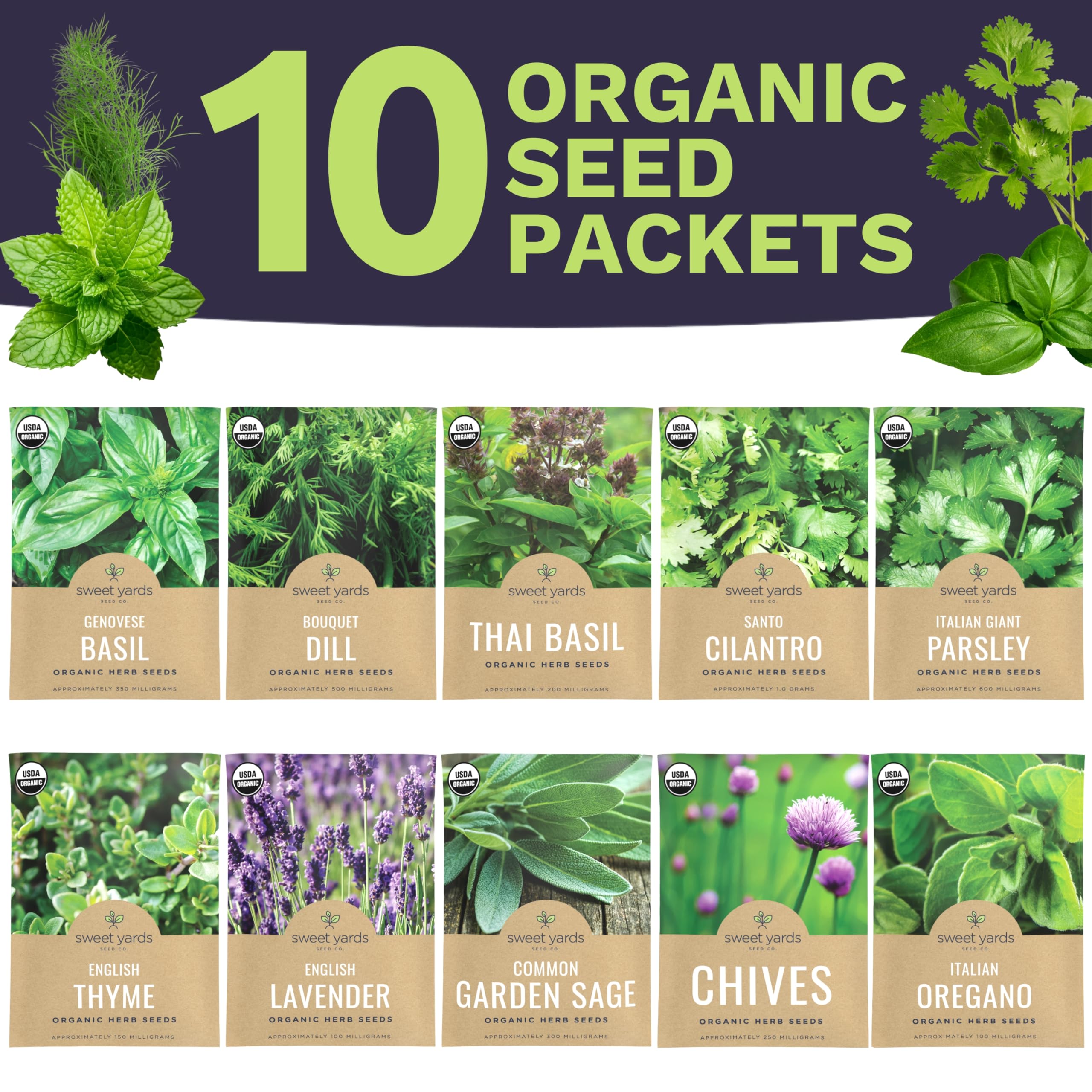 Individual seed packets of basil, cilantro, dill, and more