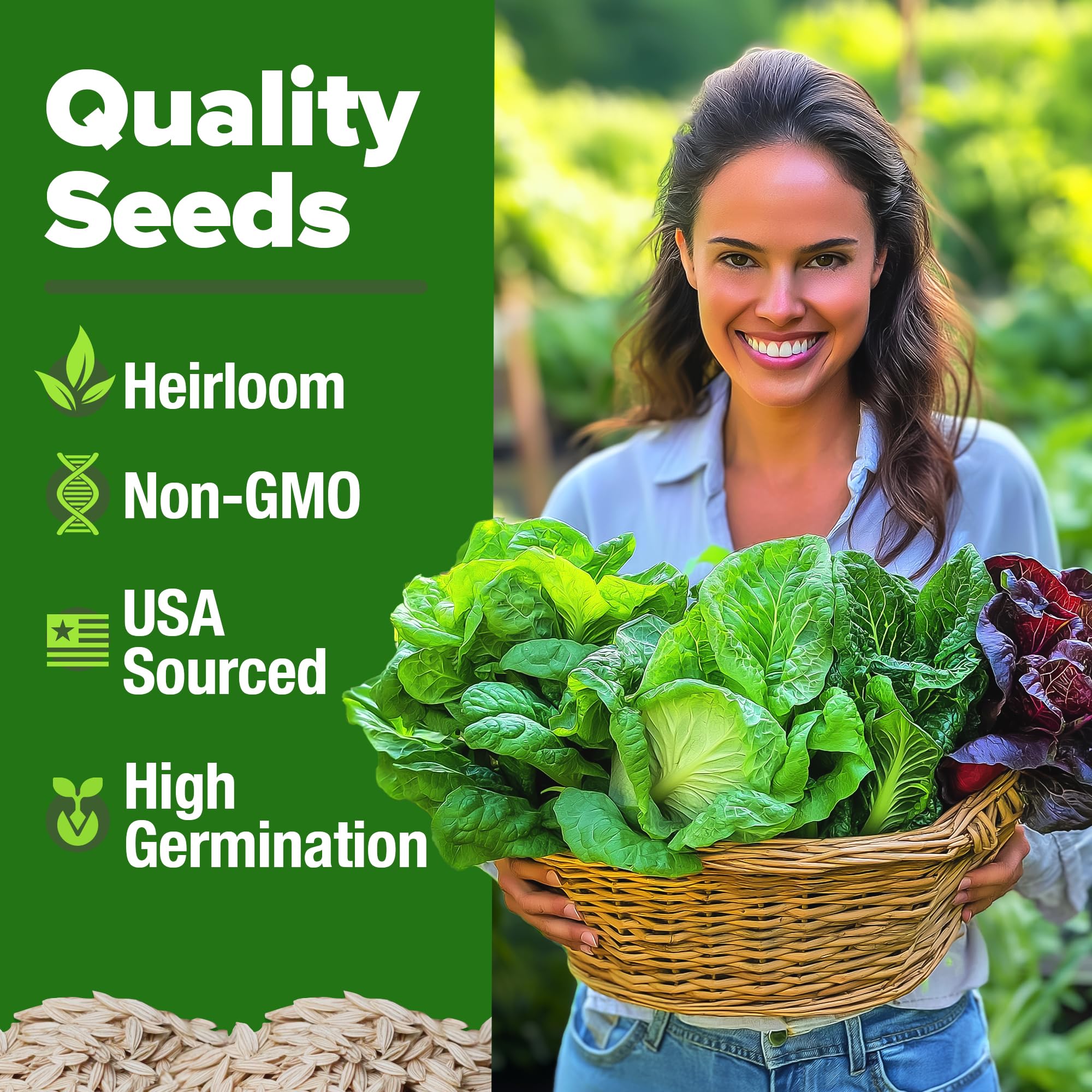 Individual seed packets of Black Seeded Simpson, Red Romaine, Bibb, Buttercrunch, and Iceberg