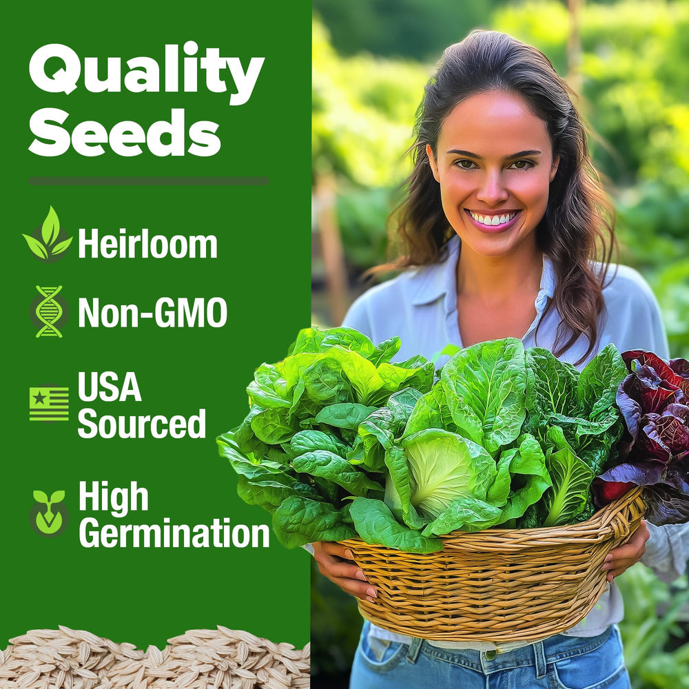 Individual seed packets of Black Seeded Simpson, Red Romaine, Bibb, Buttercrunch, and Iceberg