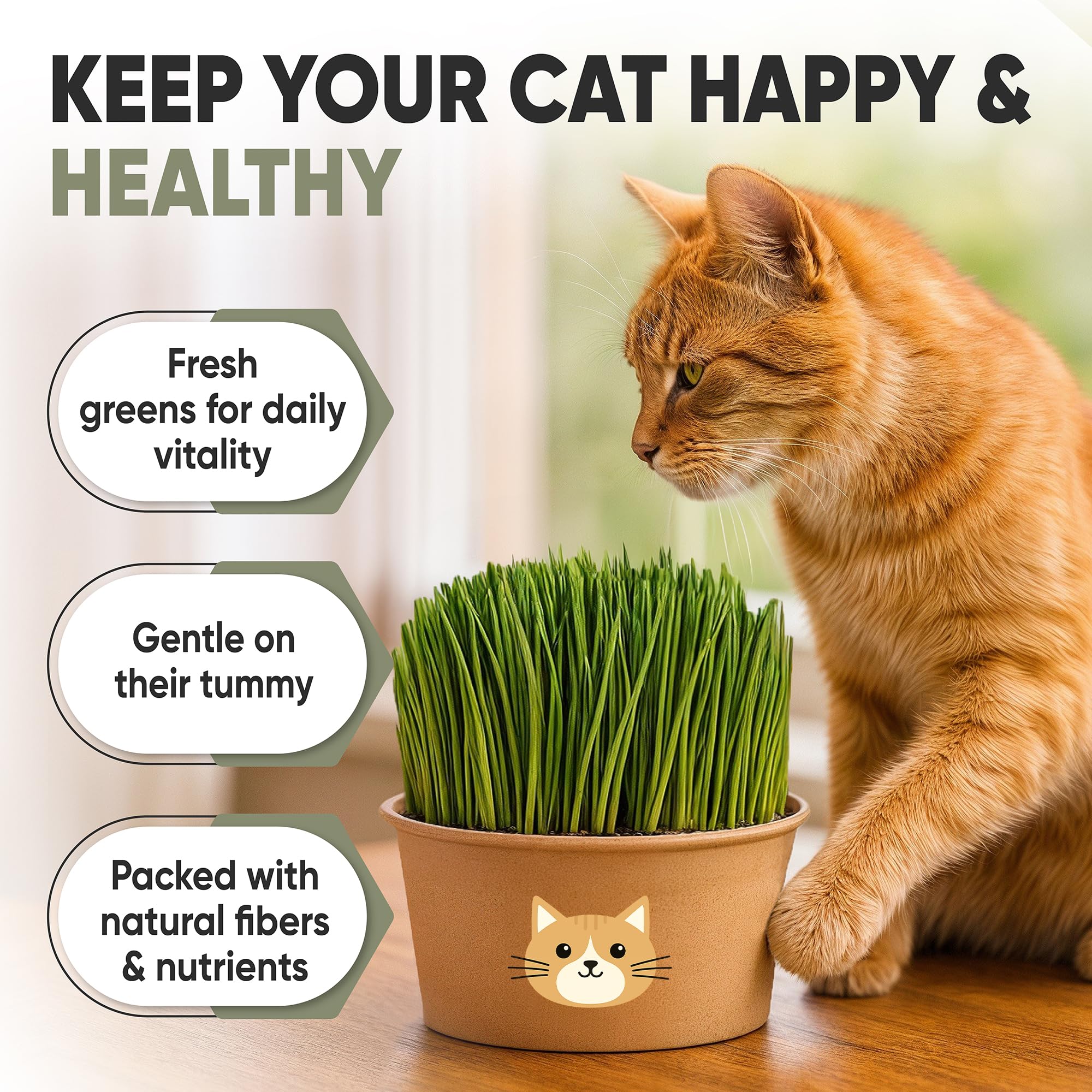 Indoor cat enjoying freshly grown grass from AVERGO kit