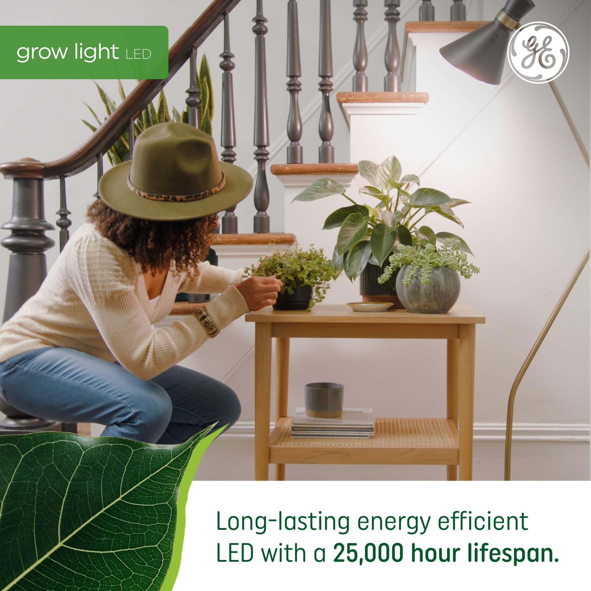 Indoor garden setup using GE Grow Lights for vibrant plants