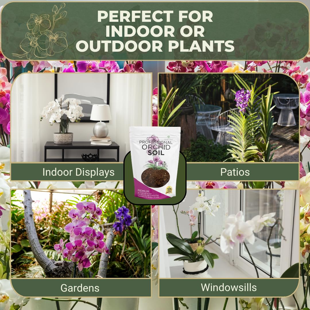 Indoor garden setup with orchids and Leaves and Soul soil