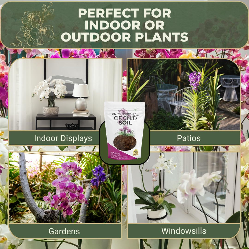 Indoor garden setup with orchids and Leaves and Soul soil